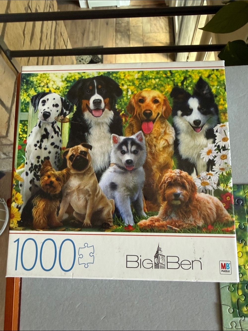 Big Ben 1000-Piece Dogs Jigsaw Puzzle - Colorful Multi